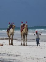 Diani Beach