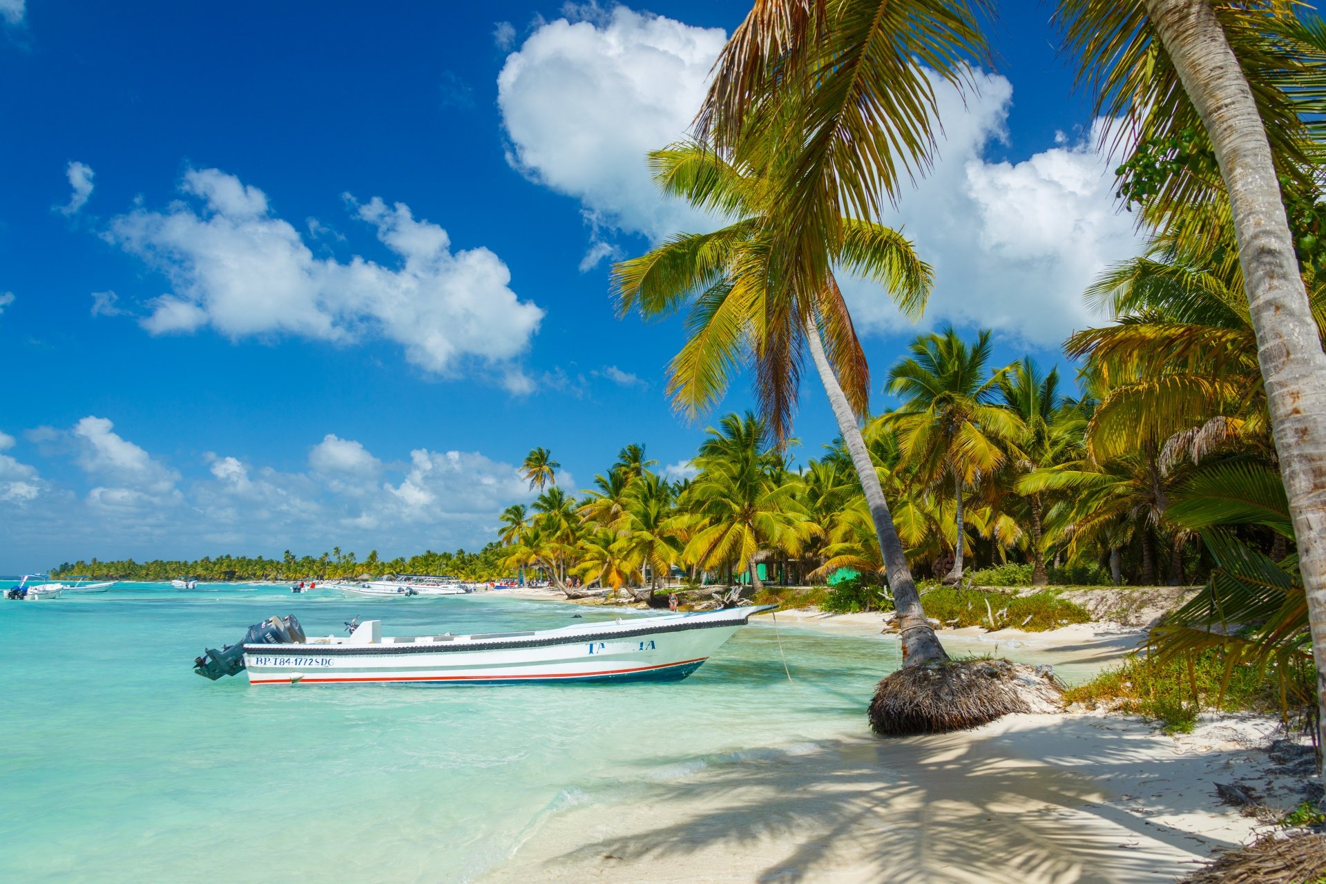 Caribbean Backpage