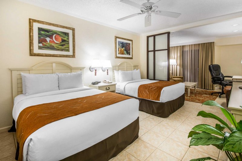Comfort Suites Paradise Island Bahamas Get Prices For The
