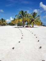 Private Island Holidays - Ultimate Luxury