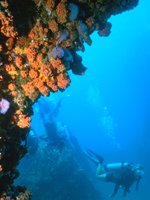 Diving off the coast of Trinidad & Tobago