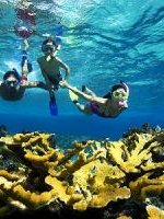 Snorkeling In Jamaica
