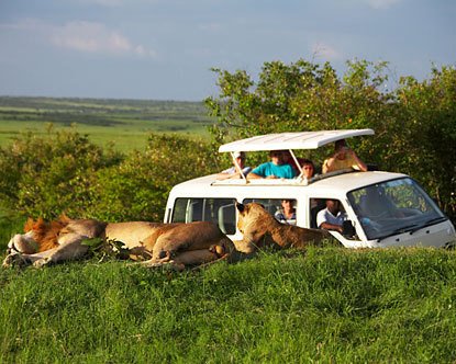 Kenya Safari