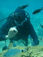 Scuba Diving In Trinidad & Tobago