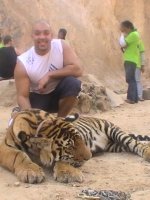Tiger Temple Visit