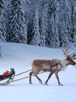 Santa Lapland