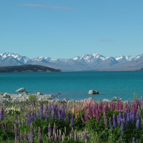 New Zealand Holidays packages
